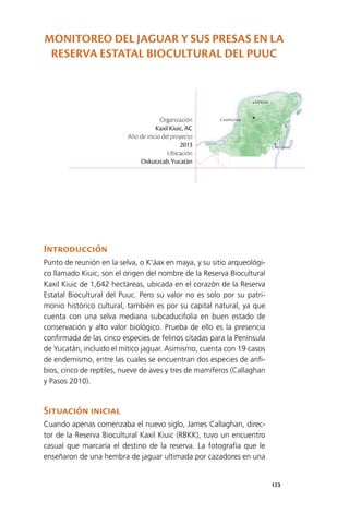 123
Mérida
Campeche
Chetumal
Introducción
Punto de reunión en la selva, o K’áax en maya, y su sitio arqueológi­
co llamado Kiuic, son el origen del nombre de la Reserva Biocultural
Kaxil Kiuic de 1,642 hectáreas, ubicada en el corazón de la Reserva
Estatal Biocultural del Puuc. Pero su valor no es solo por su patri­
monio histórico cultural, también es por su capital natural, ya que
cuenta con una selva mediana subcaducifolia en buen estado de
conservación y alto valor biológico. Prueba de ello es la presencia
confirmada de las cinco especies de felinos citadas para la Península
de Yucatán, incluido el mítico jaguar. Asimismo, cuenta con 19 casos
de endemismo, entre las cuales se encuentran dos especies de anfi­
bios, cinco de reptiles, nueve de aves y tres de mamíferos (Callaghan
y Pasos 2010).
Situación inicial
Cuando apenas comenzaba el nuevo siglo, James Callaghan, direc­
tor de la Reserva Biocultural Kaxil Kiuic (RBKK), tuvo un encuentro
casual que marcaría el destino de la reserva. La fotografía que le
enseñaron de una hembra de jaguar ultimada por cazadores en una
Organización
Kaxil Kiuic, AC
Año de inicio del proyecto
2013
Ubicación
Oxkutzcab, Yucatán
MONITOREO DEL JAGUAR Y SUS PRESAS EN LA
RESERVA ESTATAL BIOCULTURAL DEL PUUC
 