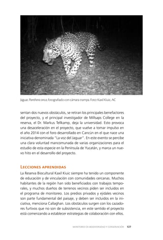 127MONITOREO DE BIODIVERSIDAD Y CONSERVACIÓN
sentan dos nuevos obstáculos, se retiran los principales benefactores
del proyecto, y el principal investigador de Millsaps College en la
reserva, el Dr. Markus Tellkamp, deja la universidad. Esto provoca
una desaceleración en el proyecto, que vuelve a tomar impulso en
el año 2014 con el foro desarrollado en Cancún en el que nace una
iniciativa denominada “La voz del Jaguar”. En este evento se percibe
una clara voluntad mancomunada de varias organizaciones para el
estudio de esta especie en la Península de Yucatán, y marca un nue­
vo hito en el desarrollo del proyecto.
Lecciones aprendidas
La Reserva Biocultural Kaxil Kiuic siempre ha tenido un componente
de educación y de vinculación con comunidades cercanas. Muchos
habitantes de la región han sido beneficiados con trabajos tempo­
rales, y muchos dueños de terrenos vecinos piden ser incluidos en
el programa de monitoreo. Los predios privados y ejidales vecinos
son parte fundamental del paisaje, y deben ser incluidos en la ini­
ciativa, menciona Callaghan. Los obstáculos surgen con los cazado­
res furtivos que no son de subsistencia, en este sentido el proyecto
está comenzando a establecer estrategias de colaboración con ellos.
Jaguar, Panthera onca, fotografiado con cámara trampa. Foto: Kaxil Kiuic, AC
 