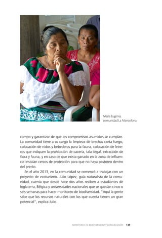 139MONITOREO DE BIODIVERSIDAD Y CONSERVACIÓN
campo y garantizar de que los compromisos asumidos se cumplan.
La comunidad tiene a su cargo la limpieza de brechas corta fuego,
colocación de nidos y bebederos para la fauna, colocación de letre­
ros que indiquen la prohibición de cacería, tala ilegal, extracción de
flora y fauna, y en caso de que exista ganado en la zona de influen­
cia instalan cercos de protección para que no haya pastoreo dentro
del predio.
En el año 2013, en la comunidad se comenzó a trabajar con un
proyecto de ecoturismo. Julio López, guía naturalista de la comu­
nidad, cuenta que desde hace dos años reciben a estudiantes de
Inglaterra, Bélgica y universidades nacionales que se quedan cinco o
seis semanas para hacer monitoreo de biodiversidad. “Aquí la gente
sabe que los recursos naturales con los que cuenta tienen un gran
potencial”, explica Julio.
María Eugenia,
comunidad La Mancolona.
 