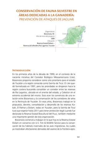 141
Mérida
Campeche
Chetumal
Introducción
En los primeros años de la década de 1990, en el contexto de la
naciente iniciativa del Corredor Biológico Mesoamericano (CBM),
Biocenosis proponía considerar como sitio prioritario para el estado
de Yucatán a la región conocida como Sierrita de Ticul. El CBM que­
dó formalizado en 1997, pero las prioridades se dirigieron hacia la
región costera buscando consolidar un corredor entre las reservas
de Ría Lagartos, ubicada en el oriente del estado, y Celestún en el
extremo occidental del mismo. Esos eran los comienzos de una re­
lación entre Biocenosis y la conservación de los corredores de selva
en la Península de Yucatán. En esos años, Biocenosis trabajó en la
propuesta, decreto, consolidación y desarrollo de las reservas Ka­
bah, El Palmar y Dzilam, todas en Yucatán, pero la Sierrita de Ticul
tuvo que esperar hasta 2011 para tener protección legal cuando fue
declarada la Reserva Estatal Biocultural del Puuc, también mediante
una importante gestión de esta organización.
Biocenosis comenzó a trabajar en lo que hoy es la Reserva Estatal
Dzilam en convenio con U.S. Fish & Wildlife Service para la conser­
vación de los hábitats invernales de las aves migratorias, los cuales
ya mostraban afectaciones derivadas del avance de la frontera agro­
Organización
Biocenosis, AC
Año de inicio del proyecto
2000
Ubicación
Reserva Estatal Dzilam –
Reserva de la Biosfera Ría Lagartos, Yucatán
CONSERVACIÓN DE FAUNA SILVESTRE EN
ÁREAS DEDICADAS A LA GANADERÍA:
PREVENCIÓN DE ATAQUES DE JAGUAR
 