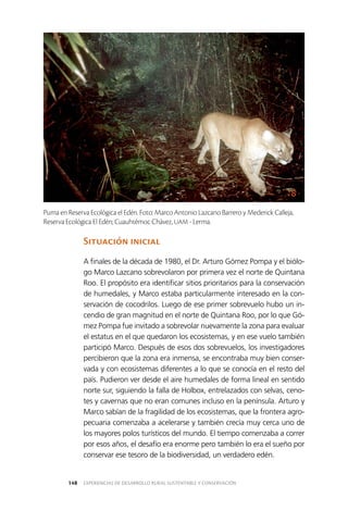 EXPERIENCIAS DE DESARROLLO RURAL SUSTENTABLE Y CONSERVACIÓN148
Situación inicial
A finales de la década de 1980, el Dr. Arturo Gómez Pompa y el biólo­
go Marco Lazcano sobrevolaron por primera vez el norte de Quintana
Roo. El propósito era identificar sitios prioritarios para la conservación
de humedales, y Marco estaba particularmente interesado en la con­
servación de cocodrilos. Luego de ese primer sobrevuelo hubo un in­
cendio de gran magnitud en el norte de Quintana Roo, por lo que Gó­
mez Pompa fue invitado a sobrevolar nuevamente la zona para evaluar
el estatus en el que quedaron los ecosistemas, y en ese vuelo también
participó Marco. Después de esos dos sobrevuelos, los investigadores
percibieron que la zona era inmensa, se encontraba muy bien conser­
vada y con ecosistemas diferentes a lo que se conocía en el resto del
país. Pudieron ver desde el aire humedales de forma lineal en sentido
norte sur, siguiendo la falla de Holbox, entrelazados con selvas, ceno­
tes y cavernas que no eran comunes incluso en la península. Arturo y
Marco sabían de la fragilidad de los ecosistemas, que la frontera agro­
pecuaria comenzaba a acelerarse y también crecía muy cerca uno de
los mayores polos turísticos del mundo. El tiempo comenzaba a correr
por esos años, el desafío era enorme pero también lo era el sueño por
conservar ese tesoro de la biodiversidad, un verdadero edén.
Puma en Reserva Ecológica el Edén. Foto: Marco Antonio Lazcano Barrero y Mederick Calleja,
Reserva Ecológica El Edén; Cuauhtémoc Chávez, UAM - Lerma.
 