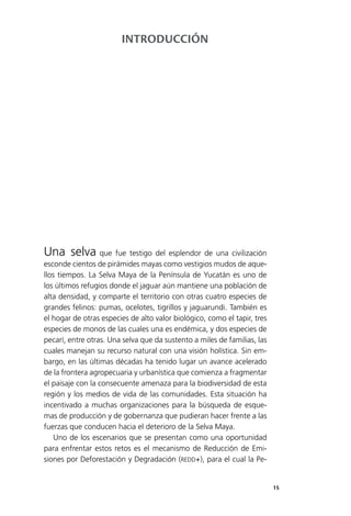 15
Una selva que fue testigo del esplendor de una civilización
esconde cientos de pirámides mayas como vestigios mudos de aque­
llos tiempos. La Selva Maya de la Península de Yucatán es uno de
los últimos refugios donde el jaguar aún mantiene una población de
alta densidad, y comparte el territorio con otras cuatro especies de
grandes felinos: pumas, ocelotes, tigrillos y jaguarundi. También es
el hogar de otras especies de alto valor biológico, como el tapir, tres
especies de monos de las cuales una es endémica, y dos especies de
pecarí, entre otras. Una selva que da sustento a miles de familias, las
cuales manejan su recurso natural con una visión holística. Sin em­
bargo, en las últimas décadas ha tenido lugar un avance acelerado
de la frontera agropecuaria y urbanística que comienza a fragmentar
el paisaje con la consecuente amenaza para la biodiversidad de esta
región y los medios de vida de las comunidades. Esta situación ha
incentivado a muchas organizaciones para la búsqueda de esque­
mas de producción y de gobernanza que pudieran hacer frente a las
fuerzas que conducen hacia el deterioro de la Selva Maya.
Uno de los escenarios que se presentan como una oportunidad
para enfrentar estos retos es el mecanismo de Reducción de Emi­
siones por Deforestación y Degradación (REDD+), para el cual la Pe­
INTRODUCCIÓN
 