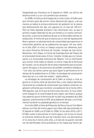 EXPERIENCIAS DE DESARROLLO RURAL SUSTENTABLE Y CONSERVACIÓN150
fotografiado por Pronatura en El Zapotal en 2004, con 50 km de
distancia entre sí y con una carretera que atravesar.
En 2008, el Instituto de Ecología de la UNAM invitó a El Edén para
que formara parte del primer Censo Nacional del Jaguar, y de esa
manera se realiza la primera estimación de población en la reserva
que efectivamente fue alta, seis jaguares en un área de 100 km2
.
Pero las fotos logradas brindaron más información aún, ya que la
primera imagen obtenida fue de una hembra y un macho caminan­
do juntos, y esta era la evidencia de que en el área había eventos re­
productivos. El hecho de que la reserva sea un sitio de reproducción
llevó a generar un planteamiento de conectividad para garantizar el
intercambio genético de las poblaciones de jaguar. Por esa razón,
en el año 2007 se inicia un trabajo conjunto con diferentes acto­
res como Pronatura Península de Yucatán, Amigos de Sian Ka’an,
Biocenosis, ONCA Maya, el Centro de Investigaciones del Trópico de
la Universidad Veracruzana (Citro), Conafor, Unidos para la Conser­
vación y la Universidad Autónoma de Tabasco. Con la información
que reunían entre todos se diseñó un primer mapa de la Península
de Yucatán, con la ubicación de las áreas importantes para la conser­
vación del jaguar y los escenarios de posibles corredores biológicos.
“Con esto nos dimos cuenta que para lograr la permanencia en el
tiempo de las poblaciones en El Edén, la estrategia de conservación
tiene que ser a un nivel más amplio”, explica Marco.
La estrategia de conservación de El Edén se enfoca a nivel re­
gional en el centro norte de Quintana Roo, y eso implica identificar
claramente las unidades de conservación que todavía conservan ve­
getación suficiente para mantener una población de al menos 250 o
300 jaguares, que es lo que se estima para esa zona. Es muy impor­
tante trabajar en la conectividad de esta región, dice Marco, porque
hoy sabemos que en la Península de Yucatán hay alrededor de 2,000
jaguares, prácticamente el 50% de la población del país, y es funda­
mental mantener la viabilidad genética en el tiempo.
En el año 2009, el Área de Protección de Flora y Fauna Yum Balam
obtuvo una foto del mismo jaguar que había sido documentado en
El Zapotal en 2004 y en El Edén en 2006. En los años 2010 y 2011,
El Edén vuelve a documentar el mismo jaguar, con lo que se reunió
la suficiente evidencia de que ese individuo tiene una permanencia
en la zona de al menos siete años, y el área de ocupación coincide
con las identificadas como prioritarias en los mapas que fueron ge­
 
