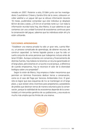 151MONITOREO DE BIODIVERSIDAD Y CONSERVACIÓN
nerados en 2007. Posterior a esto, El Edén junto con los investiga­
dores Cuauhtémoc Chávez y Sandra Ortiz de la UNAM, colocaron un
collar satelital a un jaguar del que se obtuvo información durante
16 meses, pudiéndose comprobar que este individuo se desplazó
60 km de este a oeste, y 25 km en el sentido norte sur. Con toda la
información reunida hasta hoy, dice Marco, lo que sabemos es que
contamos con una unidad funcional de ecosistemas continuos para
la conservación del jaguar, sabemos que los individuos están ahí y lo
están utilizando.
Lecciones aprendidas
“Establecer una reserva privada ha sido un gran reto, cuenta Mar­
co, un proceso complicado de aprendizaje, de obtener recursos, de
construir capacidad. Lo hemos logrado gracias a que ha sido un
sueño conjunto de varias personas que trabajamos incluso antes de
tener El Edén. Aunque contamos con convenios y financiamiento de
distintas fuentes, hoy todavía no tenemos un recurso garantizado en
el largo plazo, pero estamos en un punto crucial porque, a diferencia
de cuando empezamos, hoy se reconoce el valor de la diversidad
biológica sobre una propiedad”.
Según la visión de Marco, hoy empieza a haber mecanismos que
permiten en términos financieros dedicar tierras a conservación,
como es el caso del Pago por Servicios Ambientales (PSA). El gran
reto es lograr que esos esquemas de PSA se mantengan en el largo
plazo, y que existan otros incentivos para propietarios y poseedores
de predios que destinan tierras de manera voluntaria para la conser­
vación, porque la viabilidad de los ecosistemas depende de la conec­
tividad y el intercambio genético de sus poblaciones, y esa escala es
mucho más amplia que los límites de una reserva.
 