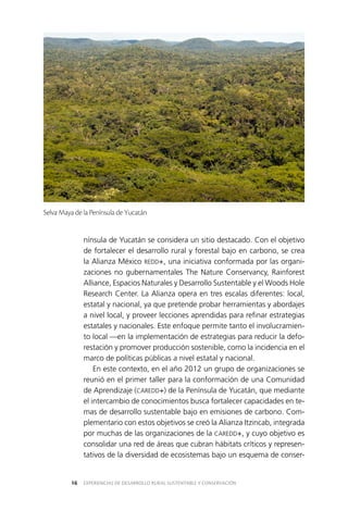 EXPERIENCIAS DE DESARROLLO RURAL SUSTENTABLE Y CONSERVACIÓN16
nínsula de Yucatán se considera un sitio destacado. Con el objetivo
de fortalecer el desarrollo rural y forestal bajo en carbono, se crea
la Alianza México REDD+, una iniciativa conformada por las organi­
zaciones no gubernamentales The Nature Conservancy, Rainforest
Alliance, Espacios Naturales y Desarrollo Sustentable y el Woods Hole
Research Center. La Alianza opera en tres escalas diferentes: local,
estatal y nacional, ya que pretende probar herramientas y abordajes
a nivel local, y proveer lecciones aprendidas para refinar estrategias
estatales y nacionales. Este enfoque permite tanto el involucramien­
to local —en la implementación de estrategias para reducir la defo­
restación y promover producción sostenible, como la incidencia en el
marco de políticas públicas a nivel estatal y nacional.
En este contexto, en el año 2012 un grupo de organizaciones se
reunió en el primer taller para la conformación de una Comunidad
de Aprendizaje (CAREDD+) de la Península de Yucatán, que mediante
el intercambio de conocimientos busca fortalecer capacidades en te­
mas de desarrollo sustentable bajo en emisiones de carbono. Com­
plementario con estos objetivos se creó la Alianza Itzincab, integrada
por muchas de las organizaciones de la CAREDD+, y cuyo objetivo es
consolidar una red de áreas que cubran hábitats críticos y represen­
tativos de la diversidad de ecosistemas bajo un esquema de conser­
Selva Maya de la Península de Yucatán
 