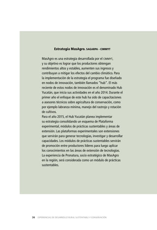 EXPERIENCIAS DE DESARROLLO RURAL SUSTENTABLE Y CONSERVACIÓN26
Estrategia MasAgro. SAGARPA - CIMMYT
MasAgro es una estrategia desarrollada por el CIMMYT,
y su objetivo es lograr que los productores obtengan
rendimientos altos y estables, aumenten sus ingresos y
contribuyan a mitigar los efectos del cambio climático. Para
la implementación de la estrategia el programa fue diseñado
en nodos de innovación, también llamados “hub”. El más
reciente de estos nodos de innovación es el denominado Hub
Yucatán, que inicia sus actividades en el año 2014. Durante el
primer año el enfoque de este hub ha sido de capacitaciones
a asesores técnicos sobre agricultura de conservación, como
por ejemplo labranza mínima, manejo del rastrojo y rotación
de cultivos.
Para el año 2015, el Hub Yucatán planea implementar
su estrategia consolidando un esquema de Plataforma
experimental, módulos de prácticas sustentables y áreas de
extensión. Las plataformas experimentales son extensiones
que servirán para generar tecnologías, investigar y desarrollar
capacidades. Los módulos de prácticas sustentables servirán
de promoción entre productores líderes para luego aplicar
los conocimientos en las áreas de extensión de tecnologías.
La experiencia de Pronatura, socio estratégico de MasAgro
en la región, será considerada como un módulo de prácticas
sustentables.
 