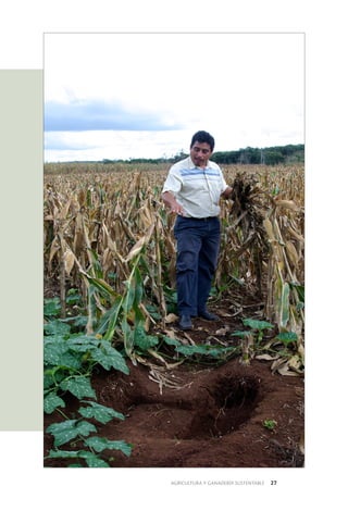 AGRICULTURA Y GANADERÍA SUSTENTABLE 27
 