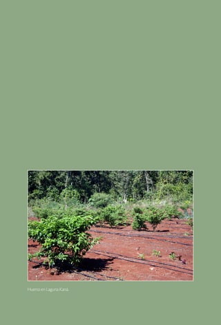 Huerto en Laguna Kaná.
 