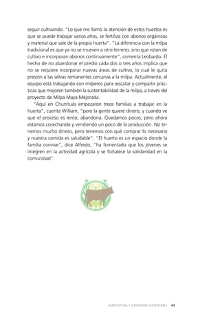 AGRICULTURA Y GANADERÍA SUSTENTABLE 41
seguir cultivando. “Lo que me llamó la atención de estos huertos es
que se puede trabajar varios años, se fertiliza con abonos orgánicos
y material que sale de la propia huerta”. “La diferencia con la milpa
tradicional es que ya no se mueven a otro terreno, sino que rotan de
cultivo e incorporan abonos continuamente”, comenta Leobardo. El
hecho de no abandonar el predio cada dos o tres años implica que
no se requiere incorporar nuevas áreas de cultivo, lo cual le quita
presión a las selvas remanentes cercanas a la milpa. Actualmente, el
equipo está trabajando con milperos para rescatar y compartir prác­
ticas que mejoren también la sustentabilidad de la milpa, a través del
proyecto de Milpa Maya Mejorada.
“Aquí en Chunhuás empezaron trece familias a trabajar en la
huerta”, cuenta William, “pero la gente quiere dinero, y cuando ve
que el proceso es lento, abandona. Quedamos pocos, pero ahora
estamos cosechando y vendiendo un poco de la producción. No te­
nemos mucho dinero, pero tenemos con qué comprar lo necesario
y nuestra comida es saludable”. “El huerto es un espacio donde la
familia convive”, dice Alfredo, “ha fomentado que los jóvenes se
integren en la actividad agrícola y se fortalece la solidaridad en la
comunidad”.
 