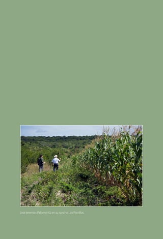 José Jeremías Palomo Kú en su rancho Los Potrillos.
 