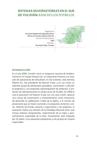 43
Mérida
Campeche
Chetumal
Introducción
En el año 2004, Conafor inició un programa nacional de fortaleci­
miento en el manejo forestal con un importante fomento a la crea­
ción de asociaciones de silvicultores. En ese contexto, José Jeremías
Palomo Kú, hoy presidente de Nukuch K’áax, y en sus inicios un
reducido grupo de productores ganaderos, comenzaron a difundir
el programa y una propuesta agrosilvopastoril de productor a pro­
ductor con demostraciones en campo al sur de Yucatán. En 2006 se
crea la asociación civil Nukuch K’áax con una clara misión, generar
una cultura de conservación y emprendimiento como mecanismo
de desarrollo en poblaciones rurales de la región, y el número de
productores que se fueron sumando a la propuesta comenzó a cre­
cer. Además de brindar asesoría y seguimiento a los proyectos, la
asociación realiza una difusión de la Estrategia Nacional REDD+ que
incluye sistemas silvopastoriles, mejoramiento de la milpa y apro­
vechamiento sustentable de la selva. Actualmente, está integrada
por 32 ejidos, cinco pequeños propietarios y tres grupos de mujeres
organizadas.
Organización
Asociación Regional de Agrosilvicultores
del Sur de Yucatán, Nukuch K’áax AC
Año de inicio del proyecto
2006
Ubicación
Municipio Tekax, Yucatán
SISTEMAS SILVOPASTORILES EN EL SUR
DE YUCATÁN: RANCHO LOS POTRILLOS
 