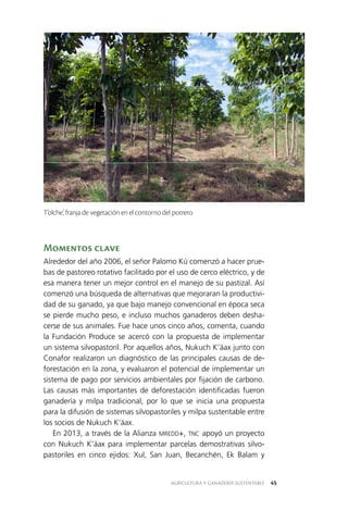 AGRICULTURA Y GANADERÍA SUSTENTABLE 45
Momentos clave
Alrededor del año 2006, el señor Palomo Kú comenzó a hacer prue­
bas de pastoreo rotativo facilitado por el uso de cerco eléctrico, y de
esa manera tener un mejor control en el manejo de su pastizal. Así
comenzó una búsqueda de alternativas que mejoraran la productivi­
dad de su ganado, ya que bajo manejo convencional en época seca
se pierde mucho peso, e incluso muchos ganaderos deben desha­
cerse de sus animales. Fue hace unos cinco años, comenta, cuando
la Fundación Produce se acercó con la propuesta de implementar
un sistema silvopastoril. Por aquellos años, Nukuch K’áax junto con
Conafor realizaron un diagnóstico de las principales causas de de­
forestación en la zona, y evaluaron el potencial de implementar un
sistema de pago por servicios ambientales por fijación de carbono.
Las causas más importantes de deforestación identificadas fueron
ganadería y milpa tradicional, por lo que se inicia una propuesta
para la difusión de sistemas silvopastoriles y milpa sustentable entre
los socios de Nukuch K’áax.
En 2013, a través de la Alianza MREDD+, TNC apoyó un proyecto
con Nukuch K’áax para implementar parcelas demostrativas silvo­
pastoriles en cinco ejidos: Xul, San Juan, Becanchén, Ek Balam y
T’olche’, franja de vegetación en el contorno del potrero.
 