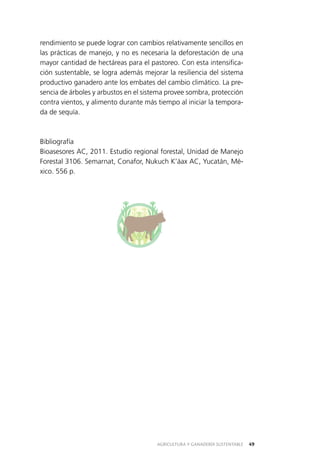 AGRICULTURA Y GANADERÍA SUSTENTABLE 49
rendimiento se puede lograr con cambios relativamente sencillos en
las prácticas de manejo, y no es necesaria la deforestación de una
mayor cantidad de hectáreas para el pastoreo. Con esta intensifica­
ción sustentable, se logra además mejorar la resiliencia del sistema
productivo ganadero ante los embates del cambio climático. La pre­
sencia de árboles y arbustos en el sistema provee sombra, protección
contra vientos, y alimento durante más tiempo al iniciar la tempora­
da de sequía.
Bibliografía
Bioasesores AC, 2011. Estudio regional forestal, Unidad de Manejo
Forestal 3106. Semarnat, Conafor, Nukuch K’áax AC, Yucatán, Mé­
xico. 556 p.
 