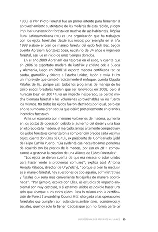 55USO SOSTENIBLE DE RECURSOS NATURALES
1983, el Plan Piloto Forestal fue un primer intento para fomentar el
aprovechamiento sustentable de las maderas de esta región, y logró
impulsar una vocación forestal en muchos de sus habitantes. Trópica
Rural Latinoamericana (TRL) es una organización que ha trabajado
con los ejidos forestales desde sus inicios; por ejemplo en el año
1998 elaboró el plan de manejo forestal del ejido Noh Bec. Según
cuenta Abraham González Sosa, ejidatario de 34 años e ingeniero
forestal, ese fue el inicio de unos tiempos dorados.
En el año 2009 Abraham era tesorero en el ejido, y cuenta que
en 2006 se exportaba madera de katal’ox y chakte cok a Suecia
y Alemania, luego en 2008 se exportó madera certificada FSC de
caoba, granadillo y ciricote a Estados Unidos, Japón e Italia. Hubo
un imprevisto que cambió radicalmente el enfoque, cuenta Claudia
Palafox de TRL, porque casi todos los programas de manejo de los
cinco ejidos forestales tenían que ser renovados en 2008, pero el
huracán Dean en 2007 tuvo un impacto inesperado, se perdió mu­
cha biomasa forestal y los volúmenes aprovechables ya no fueron
los mismos. No todos los ejidos fueron afectados por igual, pero ese
año se sumó una gran sequía que derivó posteriormente en grandes
incendios forestales.
Ante un escenario con menores volúmenes de madera, aumento
en los costos de operación debido al aumento del diesel y una baja
en el precio de la madera, el mercado se hizo altamente competitivo y
los ejidos forestales comenzaron a competir con precios cada vez más
bajos, cuenta don Elías Be Cituk, ex presidente del Comisariado Ejidal
de Felipe Carrillo Puerto. “Era evidente que necesitábamos ponernos
de acuerdo con los precios de la madera, por eso en 2011 comen­
zamos a gestionar la creación de una Alianza de Ejidos Forestales”.
“Los ejidos se dieron cuenta de que era necesario estar unidos
para hacer frente a problemas comunes”, explica José Antonio
Arreola Palacios, director de U’yo’olché, “porque si bien lo medular
es el manejo forestal, hay cuestiones de tipo agrario, administrativos
y fiscales que sería más conveniente trabajarlas de manera coordi­
nada”. “Por ejemplo, explica don Elías, los estudios de impacto am­
biental son muy costosos, y si estamos unidos es posible hacer uno
solo que abarque a los cinco ejidos. Pasa lo mismo con la certifica­
ción del Forest Stewardship Council (FSC) otorgada a las operaciones
forestales que cumplen con estándares ambientales, económicos y
sociales, que hoy solo lo tienen Caobas que aún no forma parte de
 