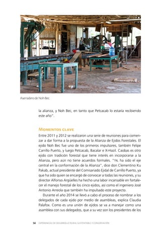 EXPERIENCIAS DE DESARROLLO RURAL SUSTENTABLE Y CONSERVACIÓN56
la alianza, y Noh Bec, en tanto que Petcacab lo estaría recibiendo
este año”.
Momentos clave
Entre 2011 y 2012 se realizaron una serie de reuniones para comen­
zar a dar forma a la propuesta de la Alianza de Ejidos Forestales. El
ejido Noh Bec fue uno de los primeros impulsores, también Felipe
Carrillo Puerto, y luego Petcacab, Bacalar e X-Hazil. Caobas es otro
ejido con tradición forestal que tiene interés en incorporarse a la
Alianza, pero aún no tiene acuerdos formales. “TRL ha sido el eje
central en la conformación de la Alianza”, dice don Clementino Ku
Pakab, actual presidente del Comisariado Ejidal de Carrillo Puerto, ya
que ha sido quien se encargó de convocar a todas las reuniones, y su
director Alfonso Argüelles ha hecho una labor incansable en fortale­
cer el manejo forestal de los cinco ejidos, así como el ingeniero José
Antonio Arreola que también ha impulsado este proyecto.
Durante el año 2014 se llevó a cabo el proceso de nombrar a los
delegados de cada ejido por medio de asambleas, explica Claudia
Palafox. Como es una unión de ejidos se va a manejar como una
asamblea con sus delegados, que a su vez son los presidentes de los
Aserradero de Noh Bec.
 