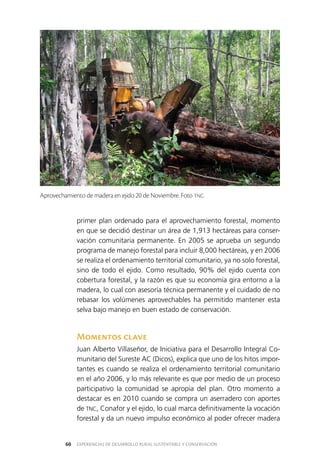 EXPERIENCIAS DE DESARROLLO RURAL SUSTENTABLE Y CONSERVACIÓN60
primer plan ordenado para el aprovechamiento forestal, momento
en que se decidió destinar un área de 1,913 hectáreas para conser­
vación comunitaria permanente. En 2005 se aprueba un segundo
programa de manejo forestal para incluir 8,000 hectáreas, y en 2006
se realiza el ordenamiento territorial comunitario, ya no solo forestal,
sino de todo el ejido. Como resultado, 90% del ejido cuenta con
cobertura forestal, y la razón es que su economía gira entorno a la
madera, lo cual con asesoría técnica permanente y el cuidado de no
rebasar los volúmenes aprovechables ha permitido mantener esta
selva bajo manejo en buen estado de conservación.
Momentos clave
Juan Alberto Villaseñor, de Iniciativa para el Desarrollo Integral Co­
munitario del Sureste AC (Dicos), explica que uno de los hitos impor­
tantes es cuando se realiza el ordenamiento territorial comunitario
en el año 2006, y lo más relevante es que por medio de un proceso
participativo la comunidad se apropia del plan. Otro momento a
destacar es en 2010 cuando se compra un aserradero con aportes
de TNC, Conafor y el ejido, lo cual marca definitivamente la vocación
forestal y da un nuevo impulso económico al poder ofrecer madera
Aprovechamiento de madera en ejido 20 de Noviembre. Foto TNC.
 