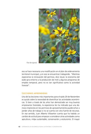 EXPERIENCIAS DE DESARROLLO RURAL SUSTENTABLE Y CONSERVACIÓN62
eso se hace necesaria una modificación en el plan de ordenamiento
territorial municipal, y en eso se encuentran trabajando. “Mientras
esperamos la renovación del permiso, dice Josué, la economía del
ejido gira entorno a la producción de miel y algunos programas de
empleo temporal, pero no es tan significativo como la actividad
forestal”.
Lecciones aprendidas
Una de las lecciones más importantes para el ejido 20 de Noviembre
es quizás sobre la necesidad de diversificar las actividades económi­
cas. Si bien a través de los años han demostrado ser muy buenos
empresarios forestales, la experiencia les ha indicado que una de­
mora imprevista en los permisos de aprovechamiento puede echar a
perder años de trabajo si no se cuenta con otra fuente de recursos.
En ese sentido, Juan Alberto Villaseñor cuenta que ha habido un
cambio de actitud para empezar a considerar otras actividades como
apicultura, milpa sustentable, conservación y ecoturismo. El mayor
Flor de tajonal.
 