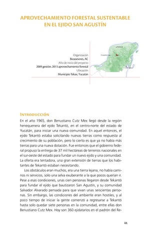 65
Mérida
Campeche
Chetumal
Introducción
En el año 1965, don Benustiano Cutz Mex llegó desde la región
henequenera del ejido Tekantó, en el centro-norte del estado de
Yucatán, para iniciar una nueva comunidad. En aquel entonces, el
ejido Tekantó estaba solicitando nuevas tierras como respuesta al
crecimiento de su población, pero lo cierto es que ya no había más
tierras para una nueva dotación. Fue entonces que el gobierno fede­
ral propuso la entrega de 37 mil hectáreas de terrenos nacionales en
el sur-oeste del estado para fundar un nuevo ejido y una comunidad.
La oferta era tentadora, una gran extensión de tierras que los habi­
tantes de Tekantó estaban necesitando.
Los obstáculos eran muchos, era una tierra lejana, no había cami­
nos ni servicios, solo una selva exuberante a la que pocos querían ir.
Pese a esas condiciones, unas cien personas llegaron desde Tekantó
para fundar el ejido que bautizaron San Agustín, y su comunidad
Salvador Alvarado pensada para que vivan unas seiscientas perso­
nas. Sin embargo, las condiciones del ambiente eran hostiles, y al
poco tiempo de iniciar la gente comenzó a regresarse a Tekantó
hasta solo quedar siete personas en la comunidad, entre ellas don
Benustiano Cutz Mex. Hoy son 360 ejidatarios en el padrón del Re­
Organización
Bioasesores, AC
Año de inicio del proyecto
2009 gestión, 2013 aprovechamiento forestal
Ubicación
Municipio Tekax, Yucatán
APROVECHAMIENTO FORESTAL SUSTENTABLE
EN EL EJIDO SAN AGUSTÍN
 