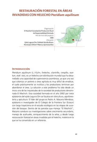 81
Mérida
Campeche
Chetumal
Introducción
Pteridium aquilinum (L.) Kuhn, (helecho, cilantrillo, crespillo, war­
kan, xtok’ xiw), es un helecho con distribución mundial que ha desa­
rrollado una capacidad de supervivencia asombrosa, ya que una vez
que coloniza un potrero o área agrícola es muy difícil de erradicar,
el suelo prácticamente se inutiliza y los productores terminan por
abandonar el área. La solución a este problema ha sido desde un
inicio una de las inquietudes de la sociedad de productores denomi­
nada El Machich. Esta sociedad formada en el año 2002 por trece
ejidatarios del ejido Laguna Om se focaliza en silvicultura, agrofores­
tería y apicultura. El líder del grupo es Pedro A. Macario Mendoza,
ejidatario e investigador de El Colegio de la Frontera Sur (Ecosur)
con larga trayectoria en el estudio ecológico en las etapas de suce­
sión del bosque. Dentro de las parcelas que maneja “El Machich”,
Macario conduce sus investigaciones sobre crecimiento secundario,
manejo de acahuales, enriquecimiento de la selva, y desde luego
restauración forestal en áreas invadidas por el helecho, materia en la
que se ha convertido en un referente.
Organización
El Machich Sociedad de Producción Rural
de Responsabilidad Ilimitada
Año de inicio del proyecto
2000
Ubicación
Ejido Laguna Om, Poblado Nicolás Bravo,
Municipio Othón P. Blanco, Quintana Roo
RESTAURACIÓN FORESTAL EN ÁREAS
INVADIDAS CON HELECHO Pteridium aquilinum
 