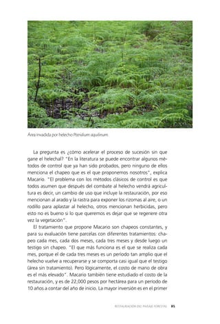 85RESTAURACIÓN DEL PAISAJE FORESTAL
La pregunta es ¿cómo acelerar el proceso de sucesión sin que
gane el helechal? “En la literatura se puede encontrar algunos mé­
todos de control que ya han sido probados, pero ninguno de ellos
menciona el chapeo que es el que proponemos nosotros”, explica
Macario. “El problema con los métodos clásicos de control es que
todos asumen que después del combate al helecho vendrá agricul­
tura es decir, un cambio de uso que incluye la restauración, por eso
mencionan al arado y la rastra para exponer los rizomas al aire, o un
rodillo para aplastar al helecho, otros mencionan herbicidas, pero
esto no es bueno si lo que queremos es dejar que se regenere otra
vez la vegetación”.
El tratamiento que propone Macario son chapeos constantes, y
para su evaluación tiene parcelas con diferentes tratamientos: cha­
peo cada mes, cada dos meses, cada tres meses y desde luego un
testigo sin chapeo. “El que más funciona es el que se realiza cada
mes, porque el de cada tres meses es un período tan amplio que el
helecho vuelve a recuperarse y se comporta casi igual que el testigo
(área sin tratamiento). Pero lógicamente, el costo de mano de obra
es el más elevado”. Macario también tiene estudiado el costo de la
restauración, y es de 22,000 pesos por hectárea para un período de
10 años a contar del año de inicio. La mayor inversión es en el primer
Área invadida por helecho Pteridium aquilinum.
 
