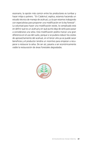 87RESTAURACIÓN DEL PAISAJE FORESTAL
escenario, la opción más común entre los productores es tumbar y
hacer milpa o potrero. “En Calakmul, explica, estamos haciendo un
estudio técnico de manejo de acahual, y a la par estamos trabajando
con especialistas para proponer una modificación en la ley forestal”.
La voluntad para hacer una modificación existe, lo complicado está
en definir qué es un acahual y en qué punto deja de serlo para pasar
a considerarse una selva. Esta modificación podría marcar una gran
diferencia en el uso del suelo, porque si se pudiera reducir los costos
de aprovechamiento del acahual, en el tercer año ya se puede sacar
beneficios y el productor tendría un incentivo para empezar a recu­
perar o restaurar la selva. De ser así, pasaría a ser económicamente
viable la restauración de áreas forestales degradadas.
 