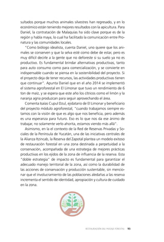 93RESTAURACIÓN DEL PAISAJE FORESTAL
sultados porque muchos animales silvestres han regresado, y en lo
económico están teniendo mejores resultados con la apicultura. Para
Daniel, la contratación de Malaquías ha sido clave porque es de la
región y habla maya, lo cual ha facilitado la comunicación entre Pro­
natura y las comunidades locales.
“Como biólogo idealista, cuenta Daniel, uno quiere que los ani­
males se conserven y que la selva esté como debe de estar, pero es
muy difícil decirle a la gente que no deforeste si su suelo ya no es
productivo. Es fundamental brindar alternativas productivas, tanto
para auto consumo como para comercialización, y se convierte en
indispensable cuando se piensa en la sostenibilidad del proyecto. Si
el proyecto deja de tener recursos, las actividades productivas tienen
que continuar”. Apunta Daniel que en el año 2014 se implementó
el sistema agroforestal en El Limonar que tuvo un rendimiento de 6
ton de maíz, y se espera que este año los cítricos como el limón y la
naranja agria produzcan para seguir aprovechando el área.
Comenta Isaías Cupul Dzul, ejidatario de El Limonar y beneficiario
del proyecto módulo agroforestal, “cuando trabajamos siempre es­
tamos con la visión de que es algo que nos beneficia, pero además
es una esperanza para futuro. Eso es lo que nos da ese ánimo de
trabajar, no solamente verlo ahorita, estamos viendo más allá”.
Asimismo, en la el contexto de la Red de Reservas Privadas y So­
ciales de la Península de Yucatán, una de las iniciativas centrales de
la Alianza Itzincab, la Reserva del Zapotal plantea un modelo exitoso
de restauración forestal en una zona destinada a perpetuidad a la
conservación, acompañada de una estrategia de mejores prácticas
productivas en los ejidos de la zona de influencia de la reserva. Esta
“doble estrategia” de impacto es fundamental para garantizar el
adecuado manejo territorial de la zona, así como la durabilidad de
las acciones de conservación y producción sustentable, sin mencio­
nar que el involucramiento de las poblaciones aledañas a las reserva
incrementa el sentido de identidad, apropiación y cultura de cuidado
en la zona.
 