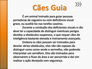 Cães Guia
 