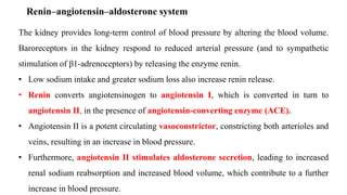 Renin–angiotensin–aldosterone system
The kidney provides long-term control of blood pressure by altering the blood volume.
Baroreceptors in the kidney respond to reduced arterial pressure (and to sympathetic
stimulation of β1-adrenoceptors) by releasing the enzyme renin.
• Low sodium intake and greater sodium loss also increase renin release.
• Renin converts angiotensinogen to angiotensin I, which is converted in turn to
angiotensin II, in the presence of angiotensin-converting enzyme (ACE).
• Angiotensin II is a potent circulating vasoconstrictor, constricting both arterioles and
veins, resulting in an increase in blood pressure.
• Furthermore, angiotensin II stimulates aldosterone secretion, leading to increased
renal sodium reabsorption and increased blood volume, which contribute to a further
increase in blood pressure.
 