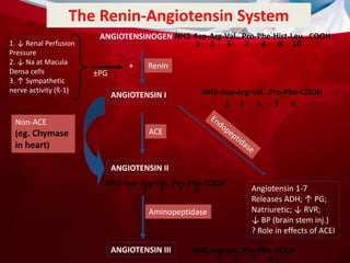 ANGIOTENSIN CONVERTING ENZYME INHIBITOR HARISHT | PPTX