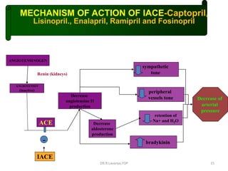 ACE Inhibitors & ARBs