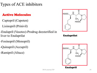 ACE Inhibitors & ARBs