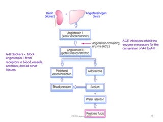 ACE Inhibitors & ARBs