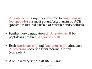 ACE Inhibitors & ARBs