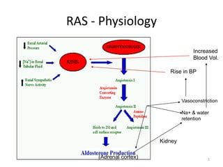 ACE Inhibitors & ARBs