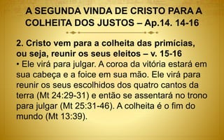 A SEGUNDA VINDA DE CRISTO PARA A
COLHEITA DOS JUSTOS – Ap.14. 14-16
2. Cristo vem para a colheita das primícias,
ou seja, reunir os seus eleitos – v. 15-16
• Ele virá para julgar. A coroa da vitória estará em
sua cabeça e a foice em sua mão. Ele virá para
reunir os seus escolhidos dos quatro cantos da
terra (Mt 24:29-31) e então se assentará no trono
para julgar (Mt 25:31-46). A colheita é o fim do
mundo (Mt 13:39).
 