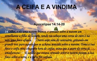 14 Olhei, e eis uma nuvem branca, e sentado sobre a nuvem um
semelhante a filho de homem, tendo na cabeça uma coroa de ouro e na
mão uma foice afiada. 15 Outro anjo saiu do santuário, gritando em
grande voz para aquele que se achava sentado sobre a nuvem: Toma a tua
foice e ceifa, pois chegou a hora de ceifar, visto que a seara da terra já
amadureceu! 16 E aquele que estava sentado sobre a nuvem passou a sua
foice sobre a terra, e a terra foi ceifada.
A CEIFA E A VINDIMA
Apocalípse 14.14-20
 