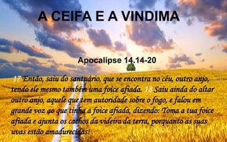17 Então, saiu do santuário, que se encontra no céu, outro anjo,
tendo ele mesmo também uma foice afiada. 18 Saiu ainda do altar
outro anjo, aquele que tem autoridade sobre o fogo, e falou em
grande voz ao que tinha a foice afiada, dizendo: Toma a tua foice
afiada e ajunta os cachos da videira da terra, porquanto as suas
uvas estão amadurecidas!
A CEIFA E A VINDIMA
Apocalípse 14.14-20
 