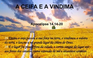 19 Então, o anjo passou a sua foice na terra, e vindimou a videira
da terra, e lançou-a no grande lagar da cólera de Deus.
20 E o lagar foi pisado fora da cidade, e correu sangue do lagar até
aos freios dos cavalos, numa extensão de mil e seiscentos estádios.
A CEIFA E A VINDIMA
Apocalípse 14.14-20
 