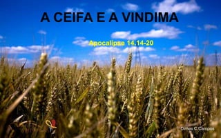 A CEIFA E A VINDIMA
Apocalípse 14.14-20
Dimas C.Campos
 