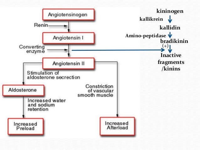 Lisinopril Medication Classification