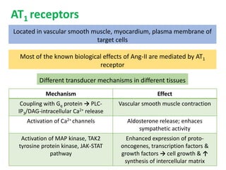 AT1 receptors
Different transducer mechanisms in different tissues
Located in vascular smooth muscle, myocardium, plasma membrane of
target cells
Most of the known biological effects of Ang-II are mediated by AT1
receptor
Mechanism Effect
Coupling with Gq protein → PLC-
IP3/DAG-intracellular Ca2+ release
Vascular smooth muscle contraction
Activation of Ca2+ channels Aldosterone release; enhaces
sympathetic activity
Activation of MAP kinase, TAK2
tyrosine protein kinase, JAK-STAT
pathway
Enhanced expression of proto-
oncogenes, transcription factors &
growth factors → cell growth & ↑
synthesis of intercellular matrix
 