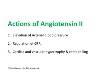 Actions of Angiotensin II
1. Elevation of Arterial blood pressure
2. Regulation of GFR
3. Cardiac and vascular hypertrophy & remodelling
GFR – Glomerular filtration rate
 