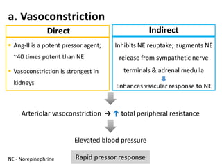 a. Vasoconstriction
Direct
 Ang-II is a potent pressor agent;
~40 times potent than NE
 Vasoconstriction is strongest in
kidneys
Indirect
Inhibits NE reuptake; augments NE
release from sympathetic nerve
terminals & adrenal medulla
Enhances vascular response to NE
Arteriolar vasoconstriction → ↑ total peripheral resistance
Elevated blood pressure
Rapid pressor responseNE - Norepinephrine
 