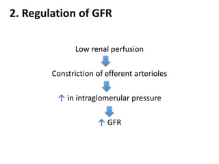 Low renal perfusion
Constriction of efferent arterioles
↑ in intraglomerular pressure
↑ GFR
2. Regulation of GFR
 