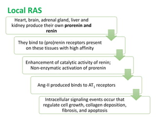 Local RAS
Heart, brain, adrenal gland, liver and
kidney produce their own prorenin and
renin
They bind to (pro)renin receptors present
on these tissues with high affinity
Enhancement of catalytic activity of renin;
Non-enzymatic activation of prorenin
Ang-II produced binds to AT1 receptors
Intracellular signaling events occur that
regulate cell growth, collagen deposition,
fibrosis, and apoptosis
 