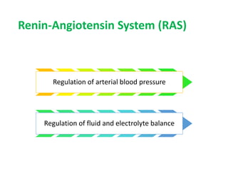 Renin-Angiotensin System (RAS)
Regulation of arterial blood pressure
Regulation of fluid and electrolyte balance
 