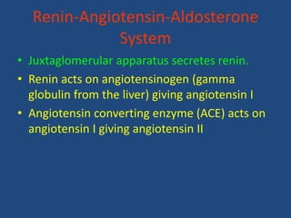 Renin-Angiotensin-Aldosterone
System
• Juxtaglomerular apparatus secretes renin.
• Renin acts on angiotensinogen (gamma
globulin from the liver) giving angiotensin I
• Angiotensin converting enzyme (ACE) acts on
angiotensin I giving angiotensin II
 