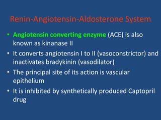 Renin-Angiotensin-Aldosterone System
• Angiotensin converting enzyme (ACE) is also
known as kinanase II
• It converts angiotensin I to II (vasoconstrictor) and
inactivates bradykinin (vasodilator)
• The principal site of its action is vascular
epithelium
• It is inhibited by synthetically produced Captopril
drug
 