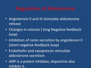 Regulation of Aldosterone
• Angiotensin II and III stimulate aldosterone
release
• Changes in volume ( long Negative feedback
loop)
• Inhibition of renin secretion by angiotensin II
(short negative feedback loop)
• Endothelin and vasopressin stimulate
aldosterone secretion
• ANP is a potent inhibitor, dopamine also
inhibits it.
 