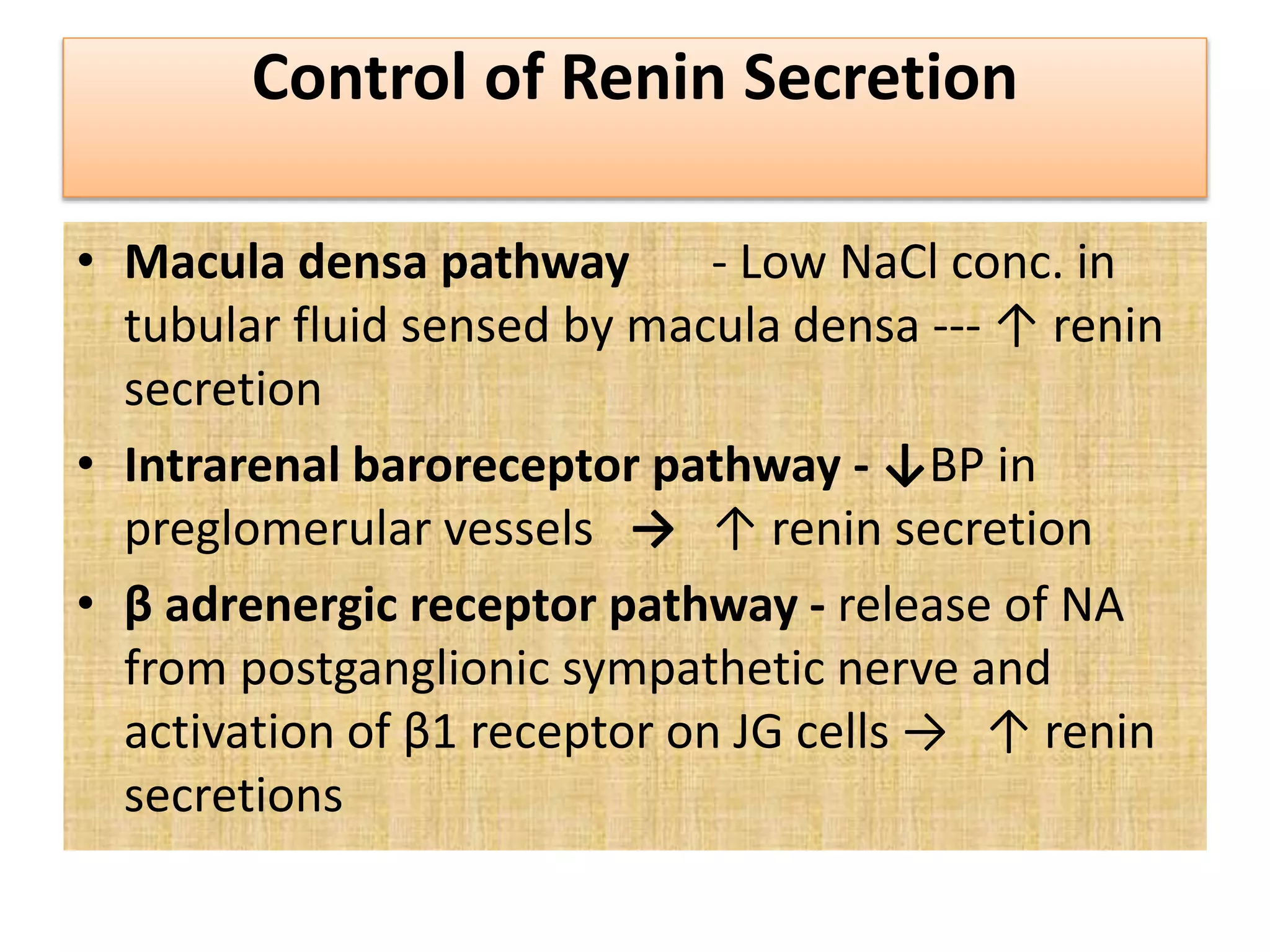 Drugs affecting on renin angiotensin system | PPTX